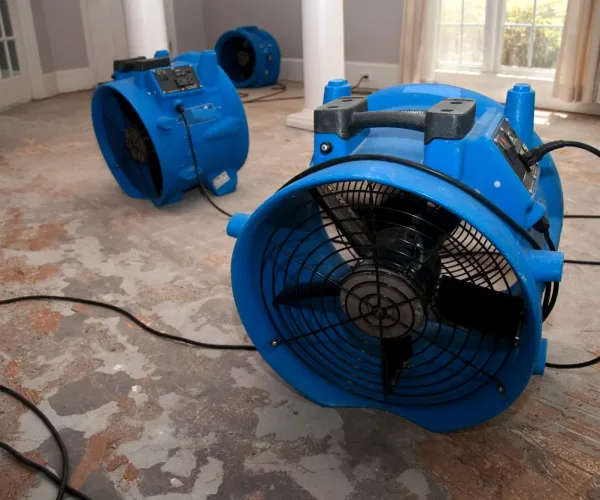 This is the sewage water damage recovery process in a residential home. The flooring is ripped off, and the rooms are sprayed with biowash. Industrial fans and dehumidifiers is placed in the room for the drying and restoration process. The process will last 3 days.